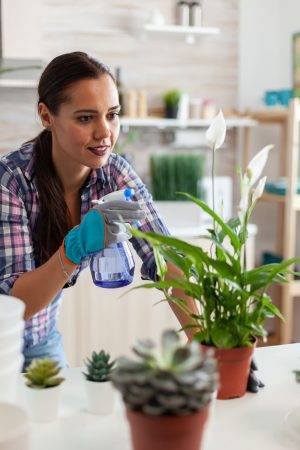 cheerful-woman-spaying-plants-kitchen-home