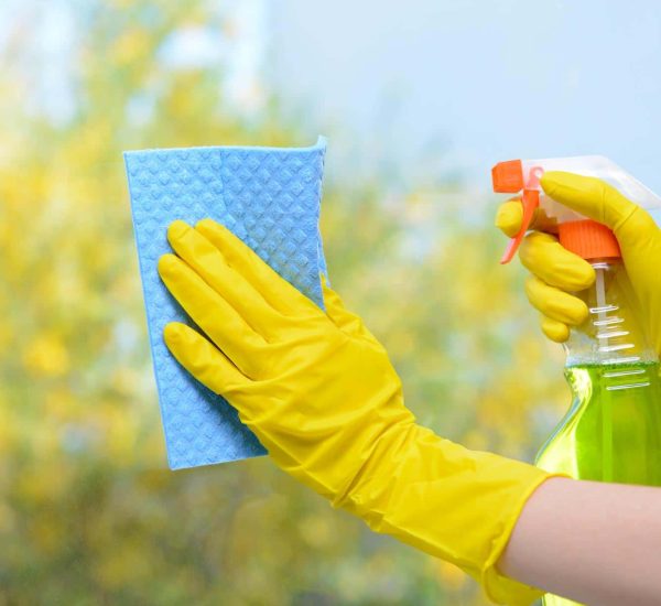 hands-with-spray-cleaning-window